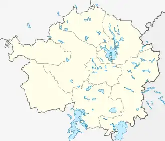 Яжелбицы (Валдайский район)