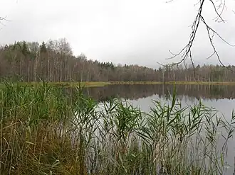 Вид на северо-западную часть озера Луковка осенью 2012 года