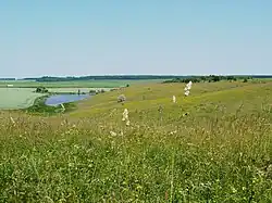 Истоки реки: пруд у села Снежки