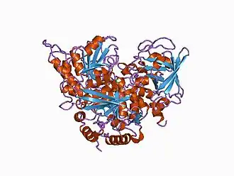 Структура аконитазы.