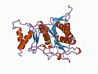 Кристаллическая структура фруктозы-1,6-бисфосфатазы печени кролика. Разрешение 2,3 ангстрем.