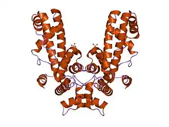 Crystal structure of Thermus aquaticus RNA polymerase sigma subunit fragment containing regions 1.2 to 3.1