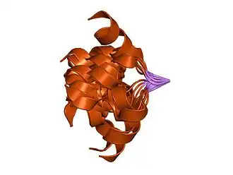 Структура тахикинина Кассинин.