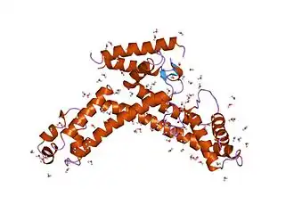 Crystal structure of a sigma70 subunit fragment from Escherichia coli RNA polymerase