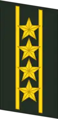 Петлица старшего полковника (Colonel Commandant) сухопутных войск КНР (2007—2009).