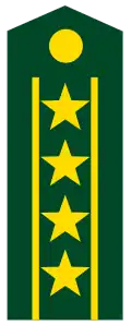 Погон старшего полковника (Colonel Commandant) сухопутных войск КНР (с 2009 года).