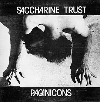 Обложка альбома Saccharine Trust «Paganicons» (1981)