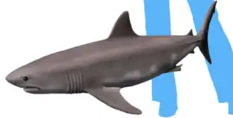 Реконструкция