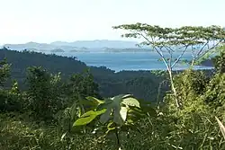 Южно-Китайское море