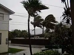 Ураган Вилма в Ки-Уэсте