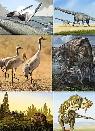 1-й ряд: Dorygnathus, аламозавры;
2-й ряд: серые журавли, эдмонтозавры;
3-й ряд: стиракозавр и Scolosaurus, дасплетозавр.