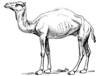 Реконструкция