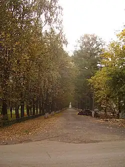 Фрагмент аллеи в парке и дорога от дома Боде в сторону Мещерского кладбища