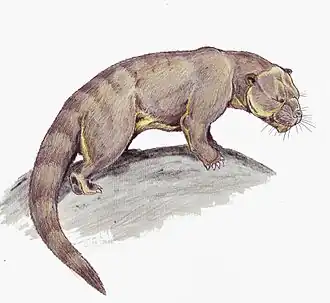 Патриофелис (Patriofelis ferox)