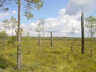 Национальный парк «Патвинсуо»