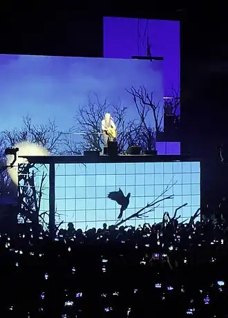 Обложка песни The Beatles «Blackbird»