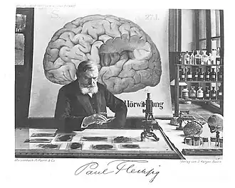 Пауль Флексиг (1909 год)