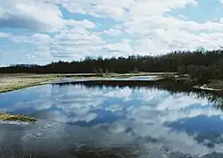 Педья весной 2008 года.