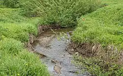 Нижнее течение Малой Мотовилихи около устья весной 2019 года