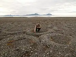 Каменные кольца вечной мерзлоты — регион Шпицберген