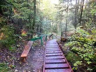 Спуск с костища на Гляденовской горе к реке Нижняя Мулянка