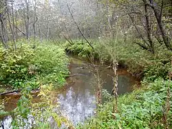 Река южнее деревни Верхняя Рассольная