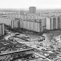 Фото 1982 года