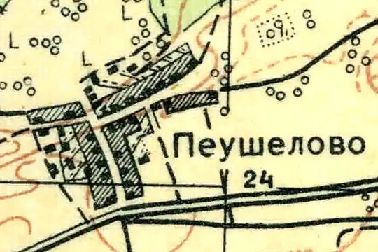План деревни Пеушалово. 1931 год