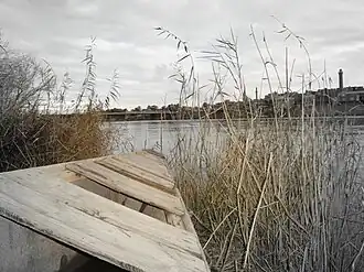 Хит в 2013 году