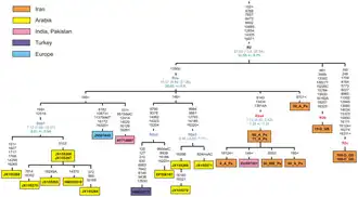 Филогенетическое дерево гаплогруппы R2