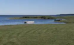 Приморские луга