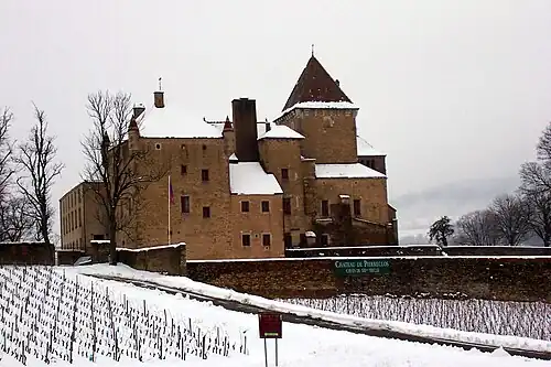 Вид замка в зимнее время