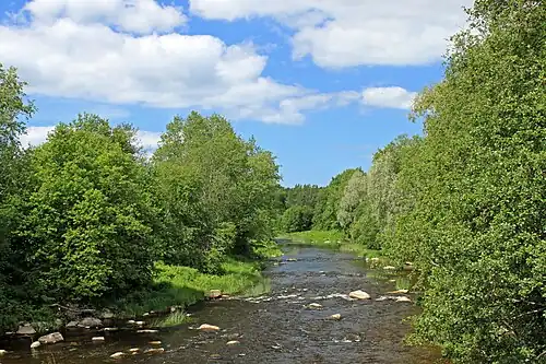 Река Пирита в микрорайоне Козе