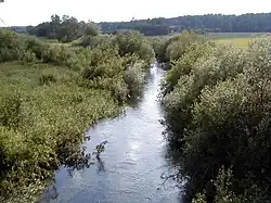 Нижнее течение реки летом 2001 года