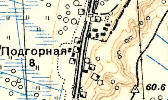 План деревни Подгорная. 1939 год