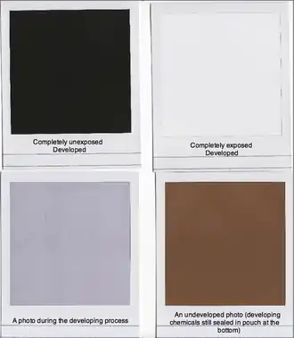 Снимок «Полароид» на разных стадиях проявления.