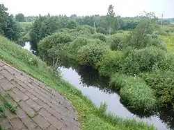 Река в районе деревни Мостки