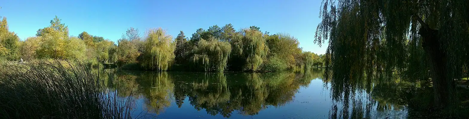Пруд в парке Гагарина