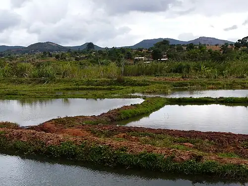 Водоёмы вокруг города