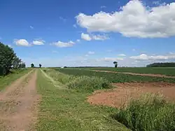 Картофельные поля в Фритауне, Остров Принца Эдуарда