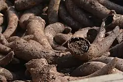 Препарат 500 — навоз в коровьих рогах