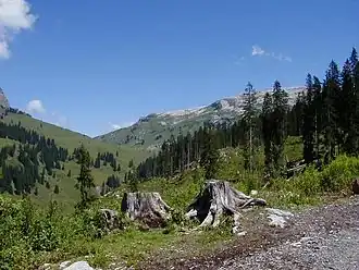 Прагельпасс