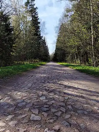 Остатки брусчатки на территории усадьбы