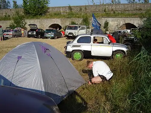 Княжеский двор в Ивангороде