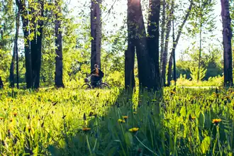 Приокский лесопарк