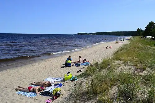 Бухта Моторная. 2013 год