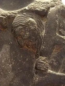 Вероятное изображение Лугальзагеси — пленник в клетке, которого своей булавой оглушает Саргон