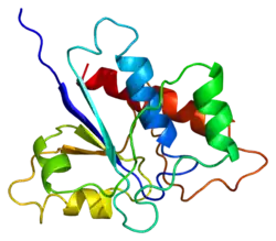 PDB rendering based on 1bvh.