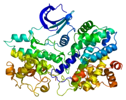 PDB rendering based on 1w98.