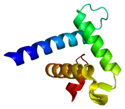 Структура домена TAZ2 (аминокислотные остатки 1764—1850) CREBBP мыши. Изображение из базы данных PDB